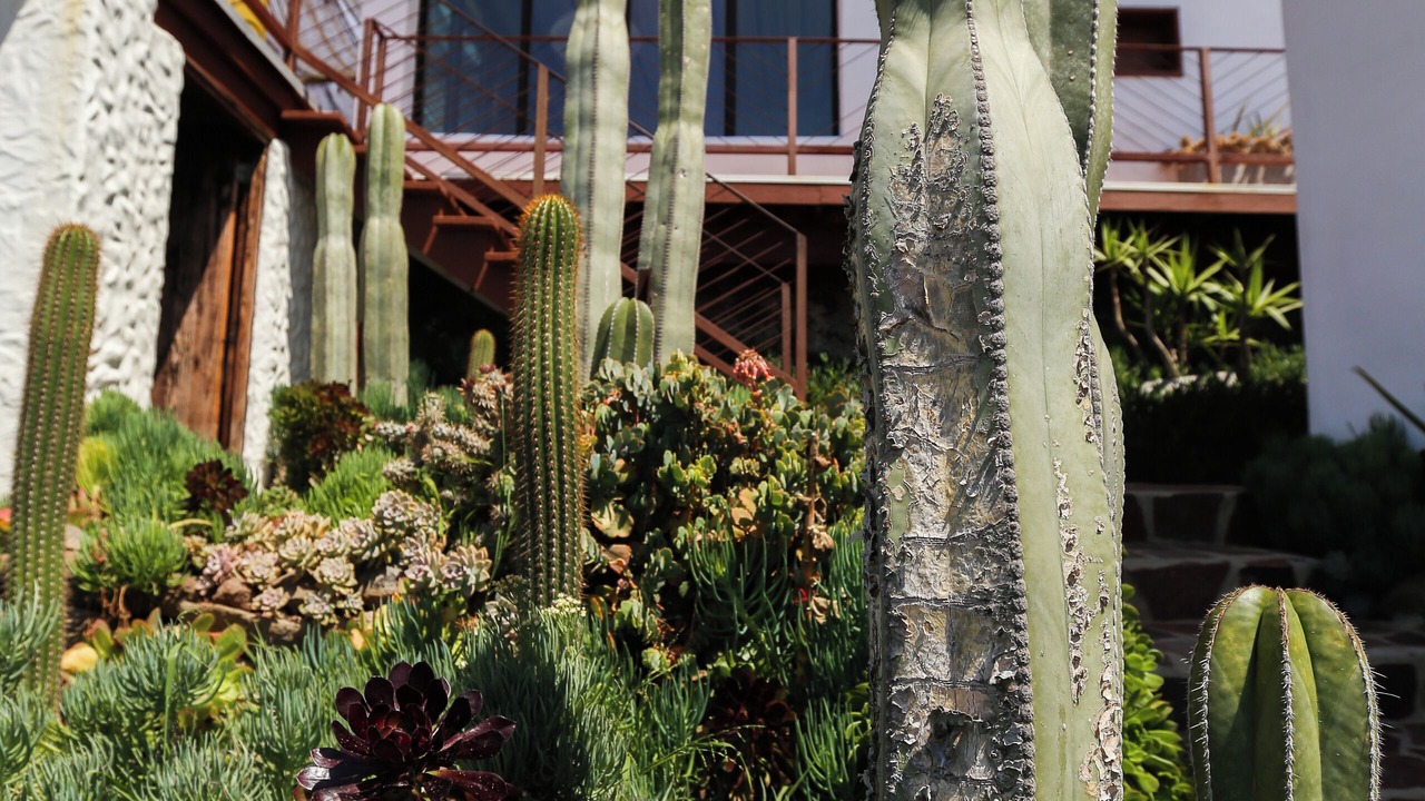 Photo of Outdoor in Rosarito