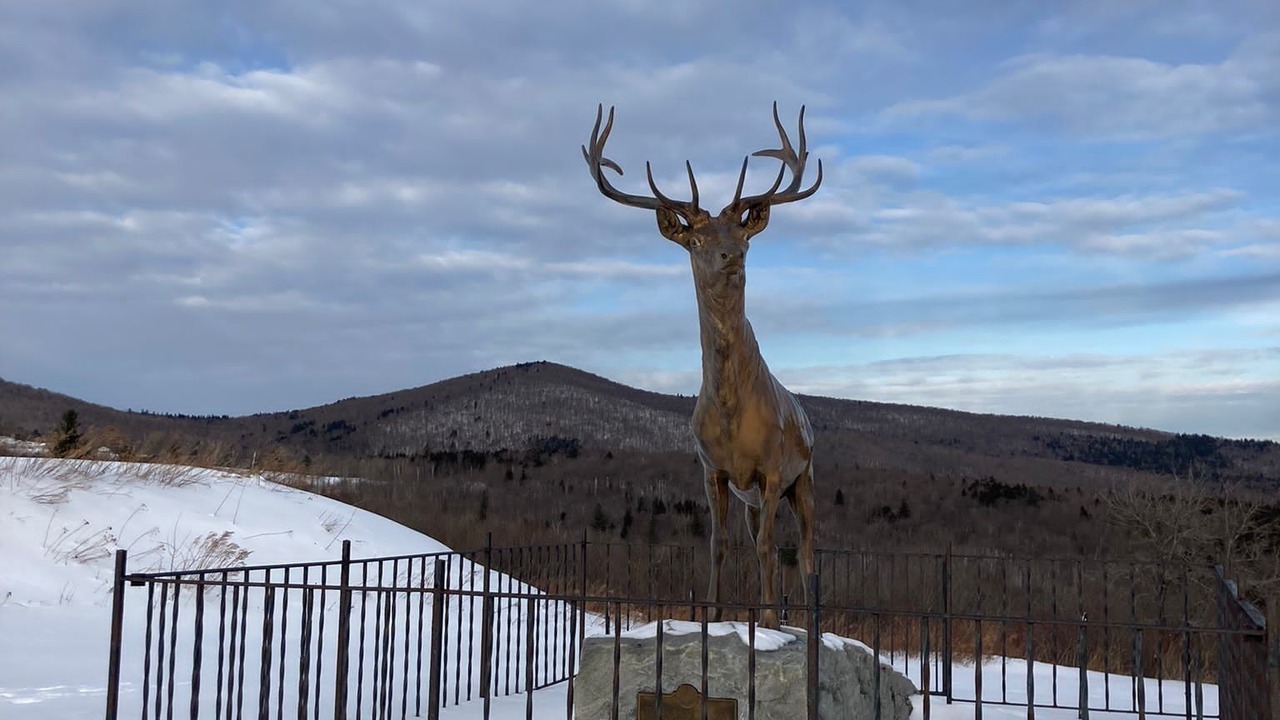 Photo of Others in Florida