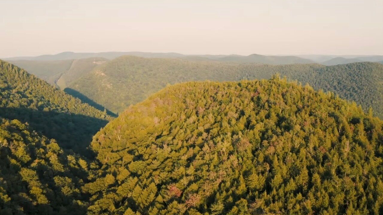 Photo of Others in Florida