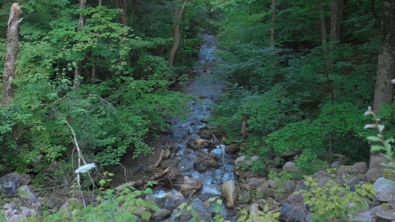 Photo of Outdoor in Florida