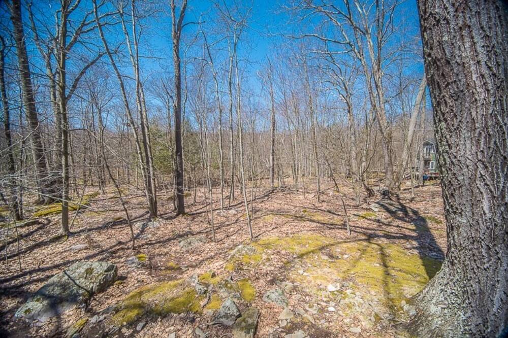 Photo of Outdoor in Lake Ariel