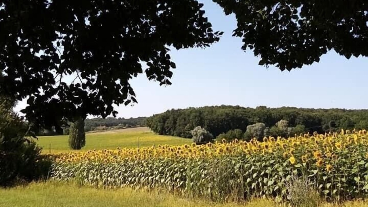 Photo of Others in Montboyer