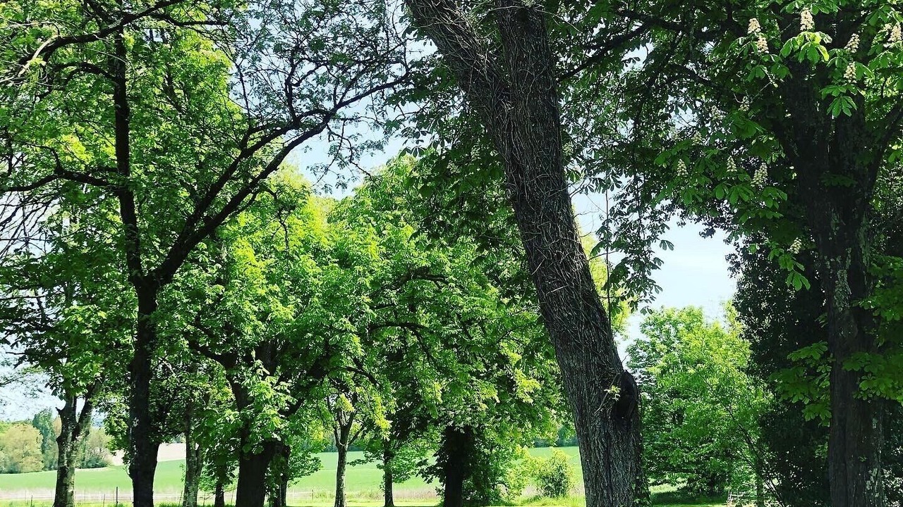 Photo of Outdoor in Montboyer