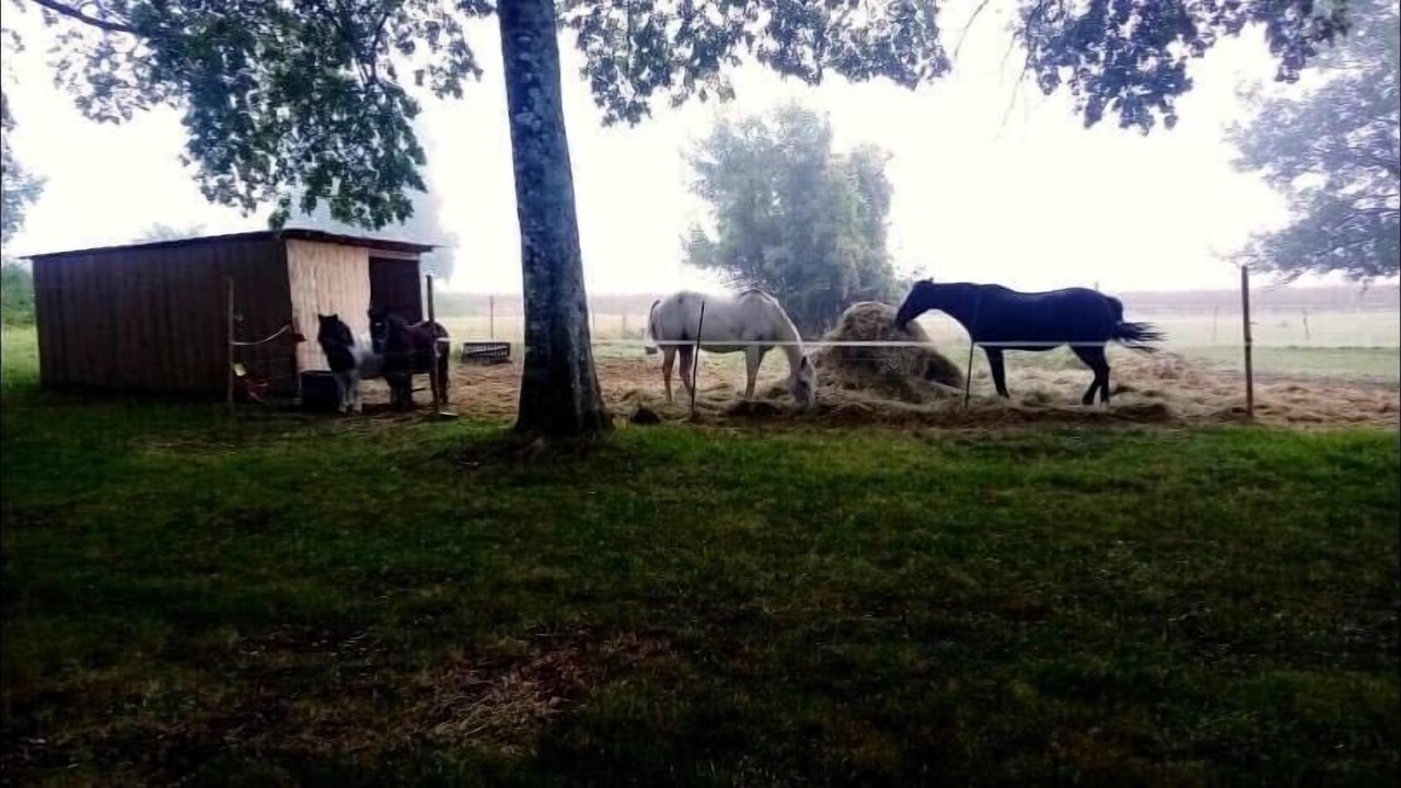 Photo of Outdoor in Montboyer