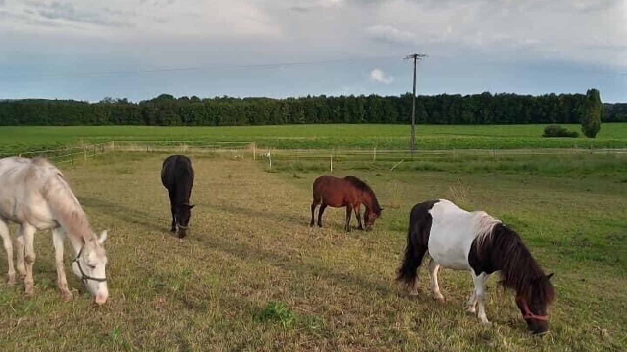 Photo of Others in Montboyer