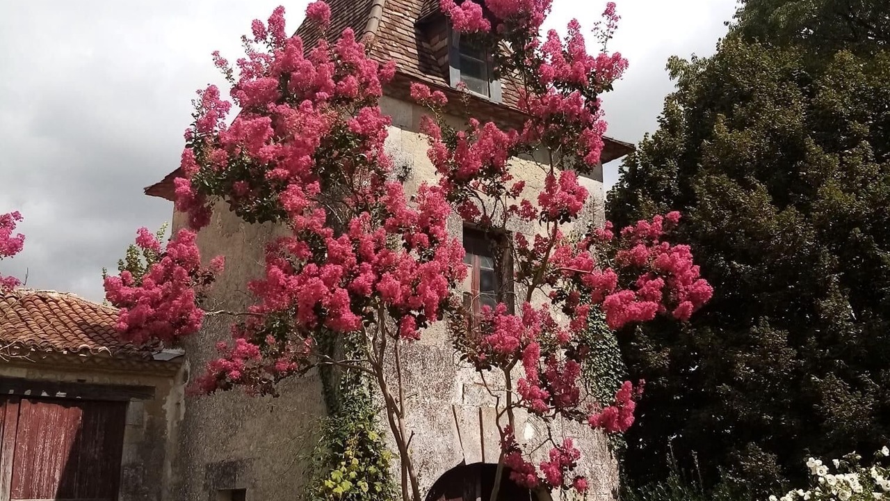 Photo of Outdoor in Montboyer