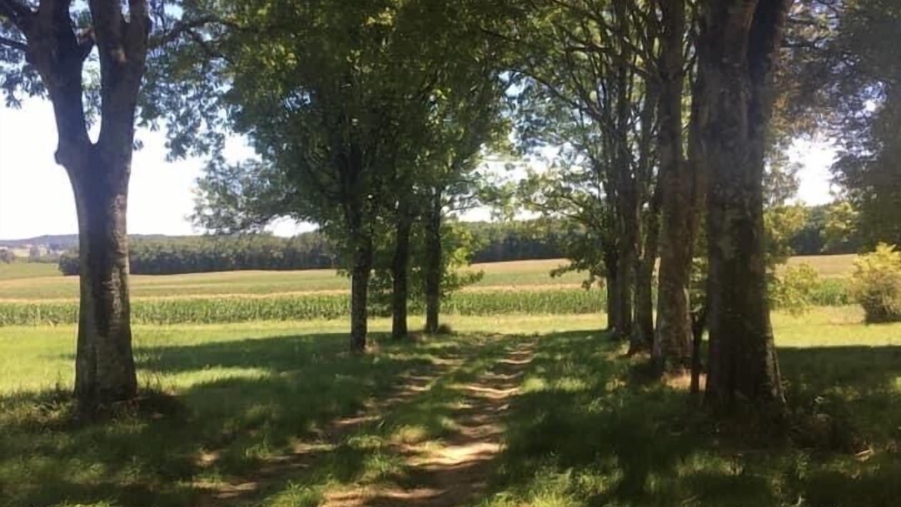 Photo of Outdoor in Montboyer