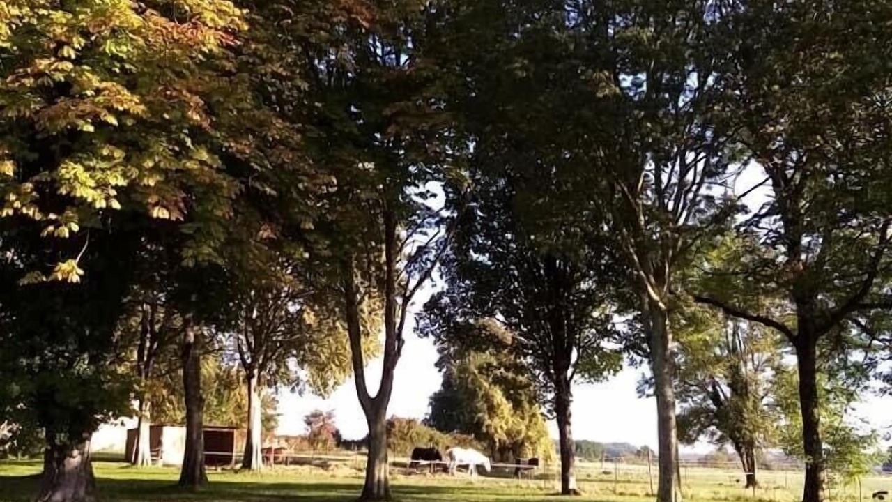 Photo of Outdoor in Montboyer