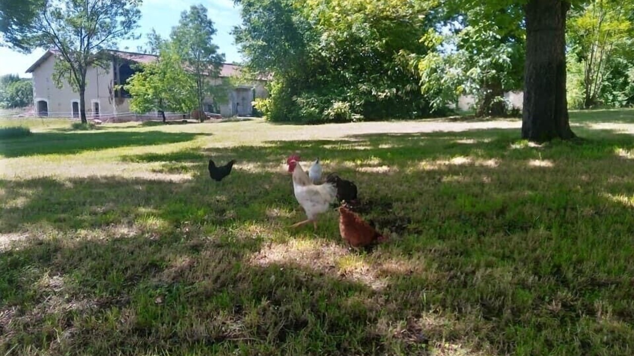 Photo of Outdoor in Montboyer