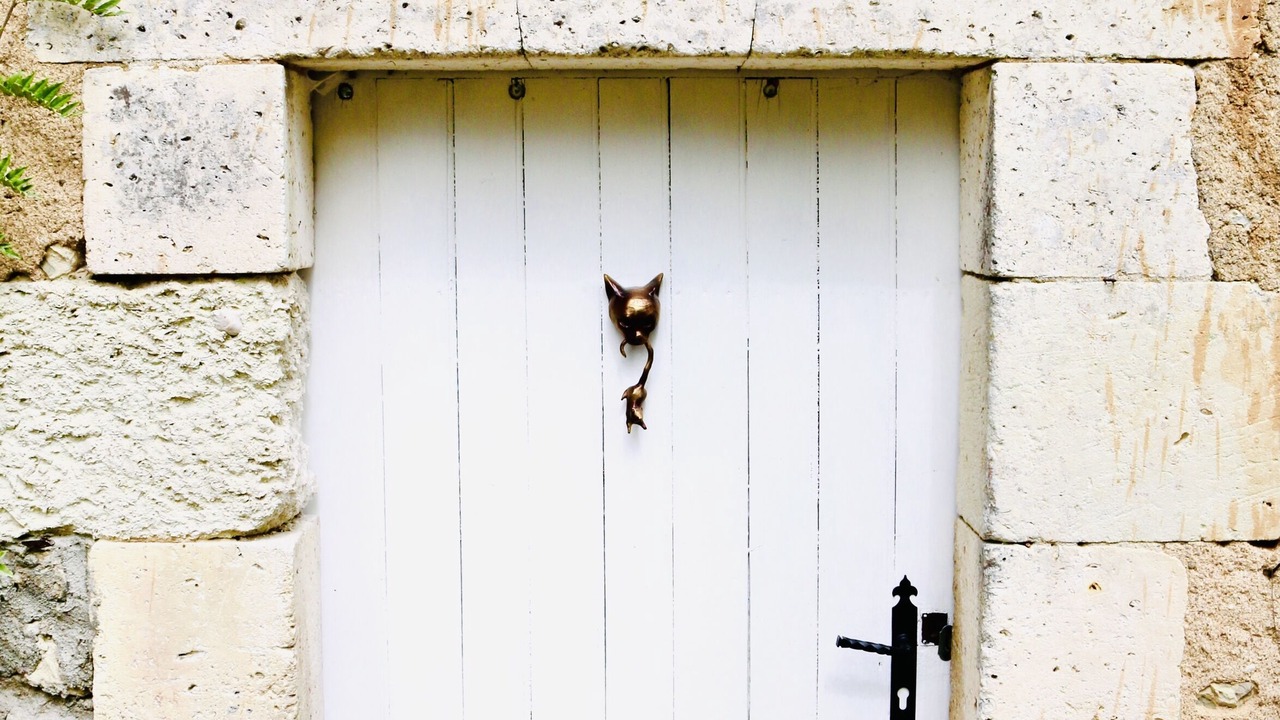 Photo of Outdoor in Montboyer