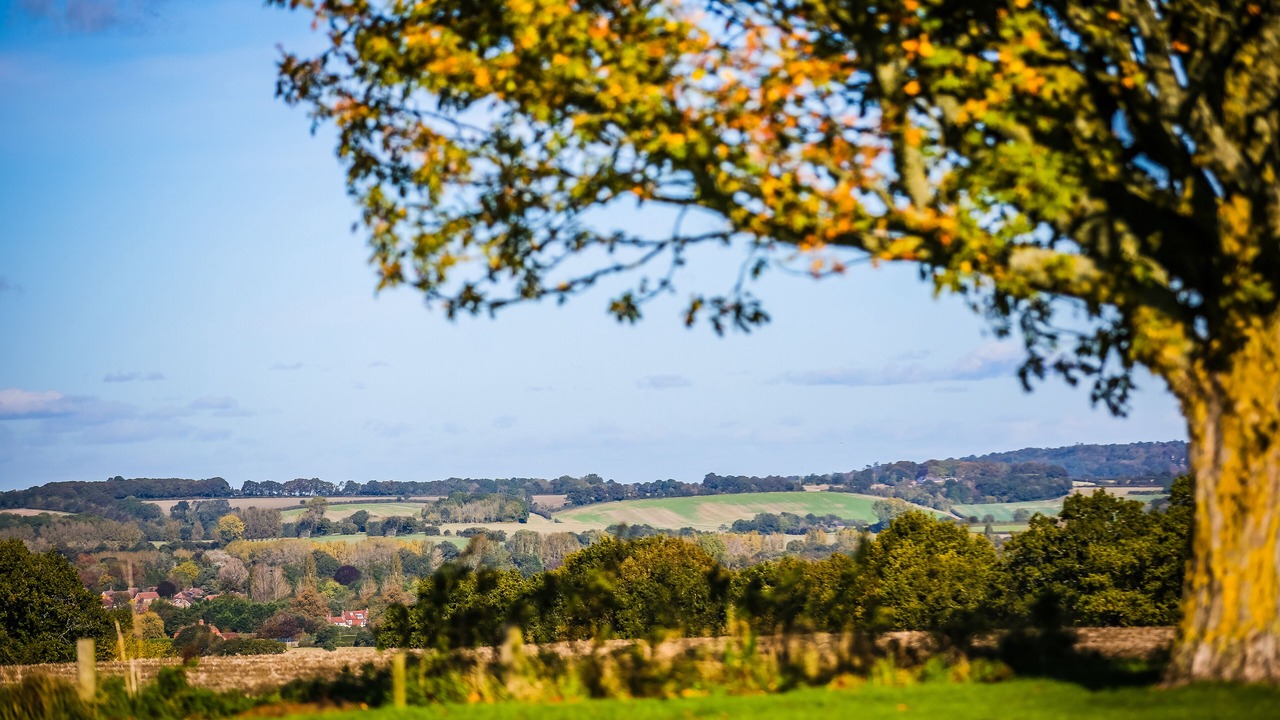 Photo of Others in Binsted