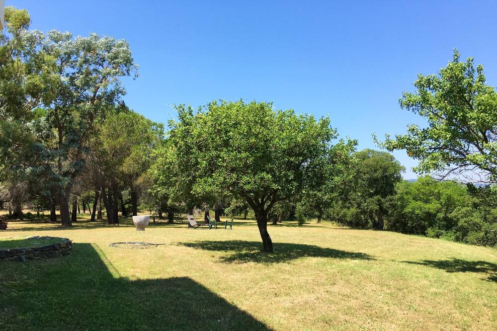 Photo of Outdoor in Montauriol