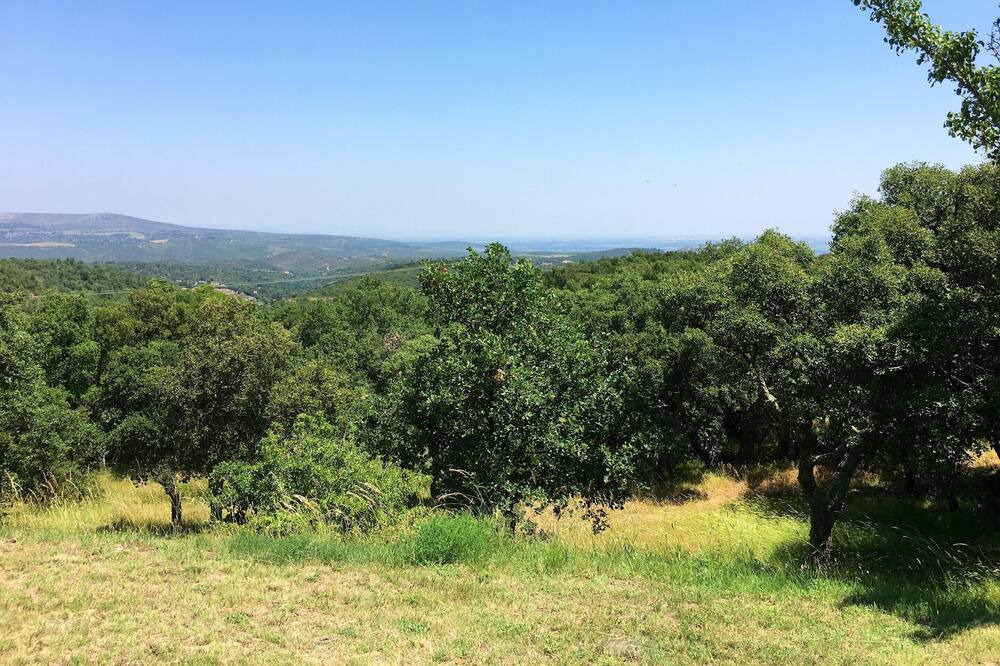 Photo of Outdoor in Montauriol