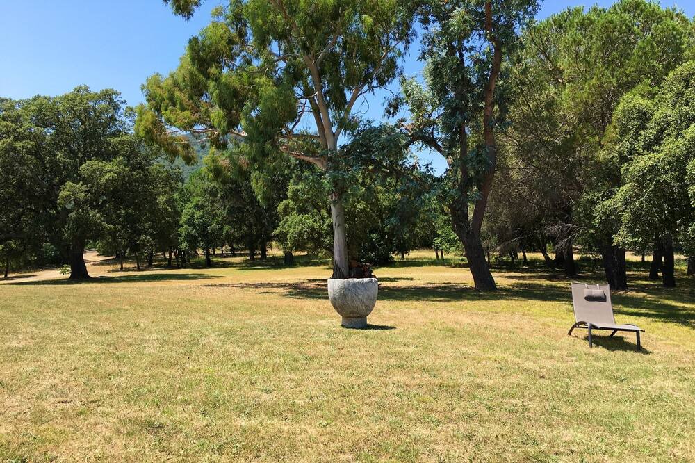 Photo of Outdoor in Montauriol