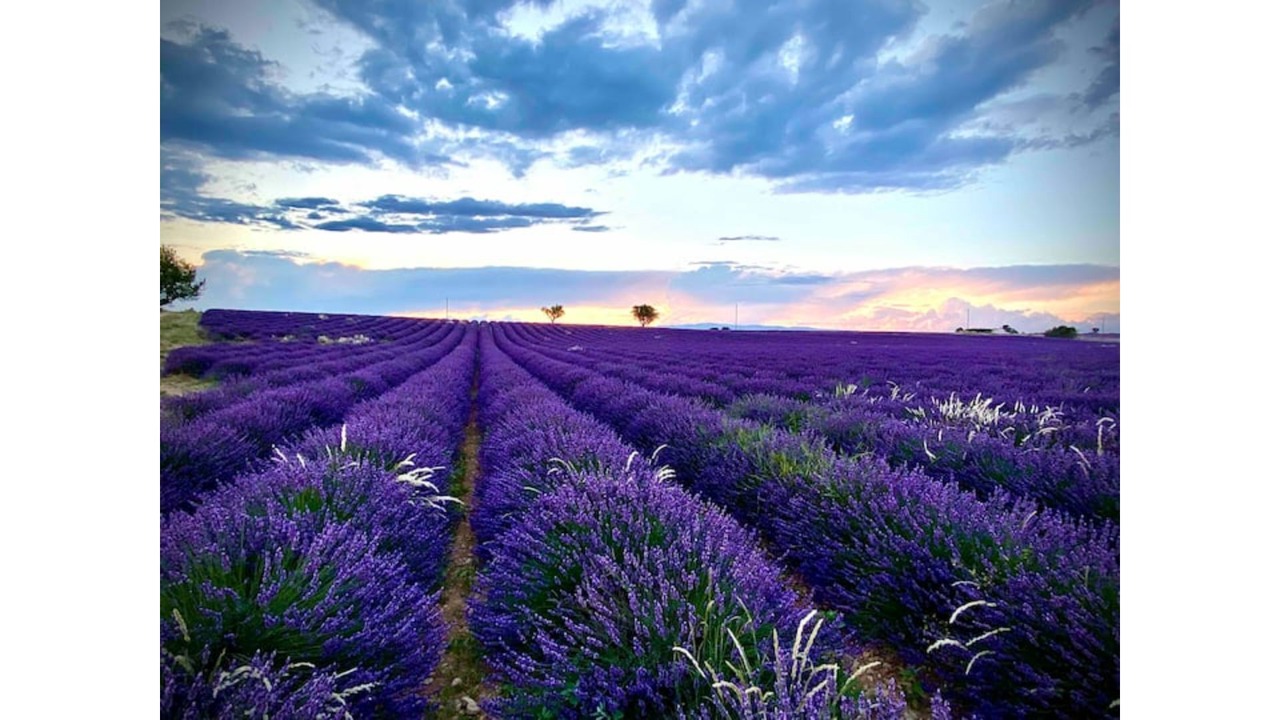 Photo of Outdoor in Greoux-les-Bains