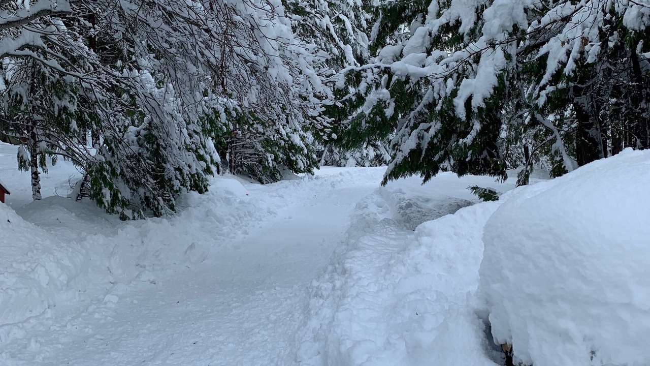 Photo of Others in Pollock Pines