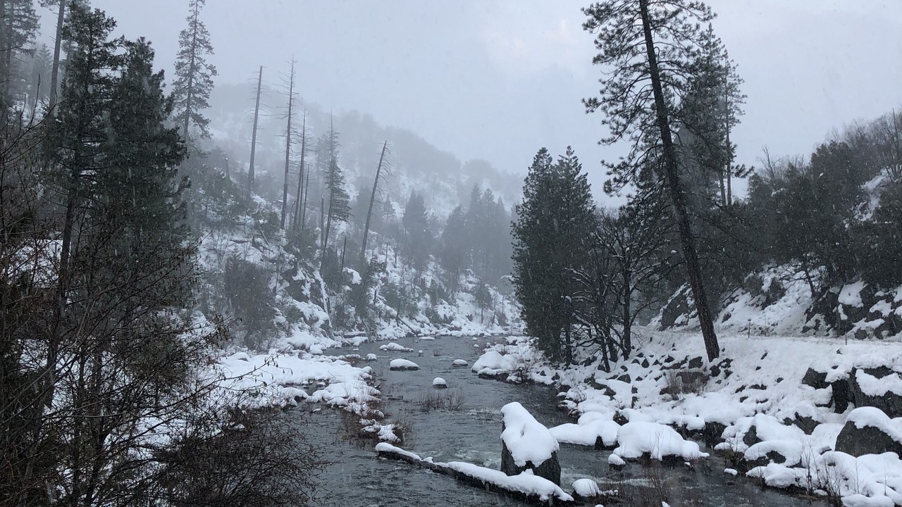 Photo of Others in Pollock Pines
