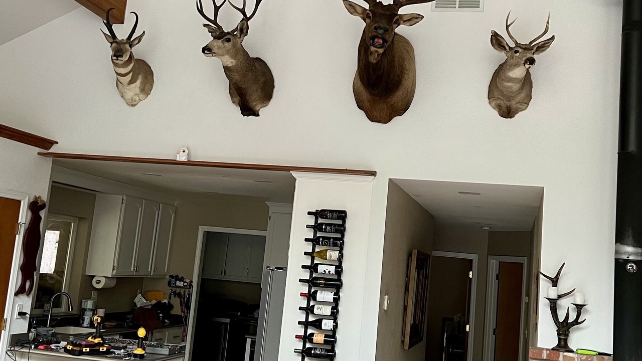 Photo of Others in Pollock Pines