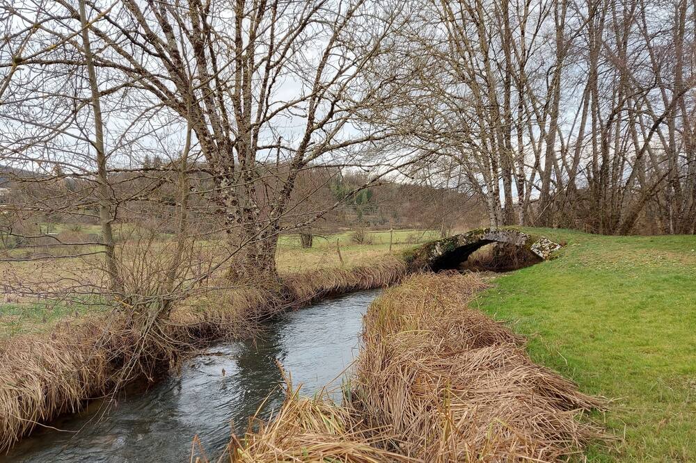 Photo of Outdoor in Montfleur