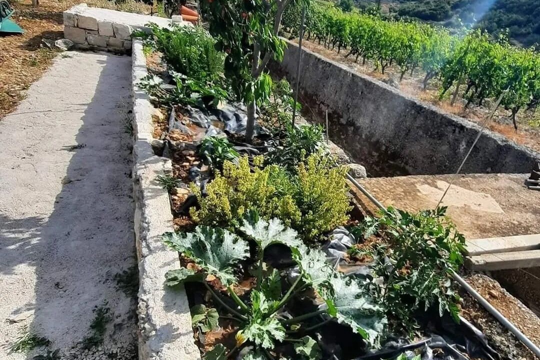 Photo of Outdoor in Dol