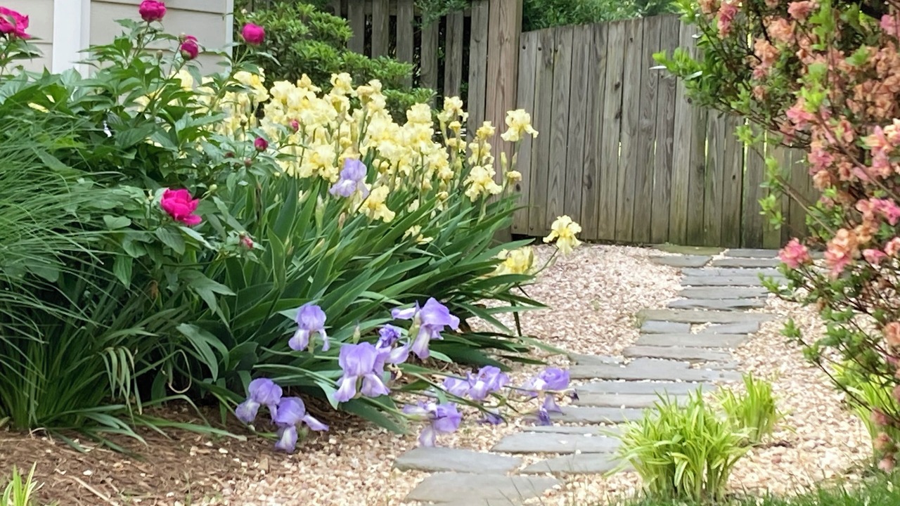 Photo of Outdoor in Falls Church