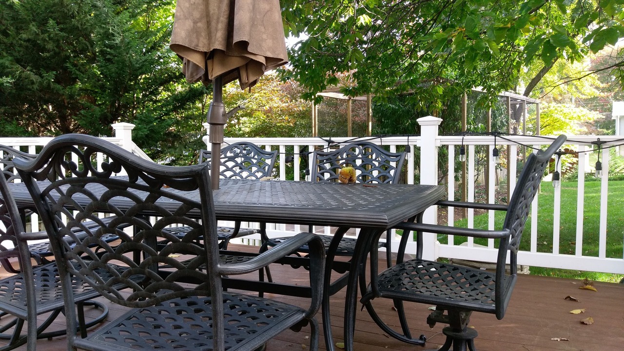 Photo of Outdoor in Falls Church