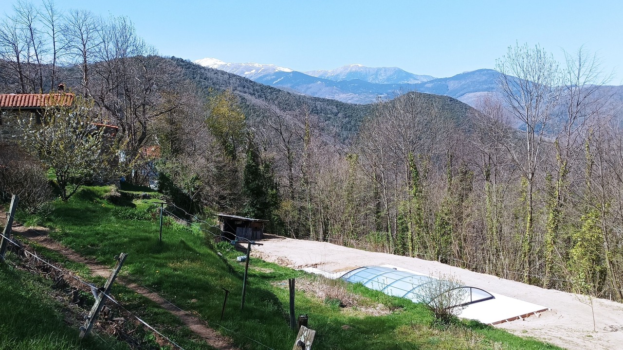 Photo of Others in Serralongue