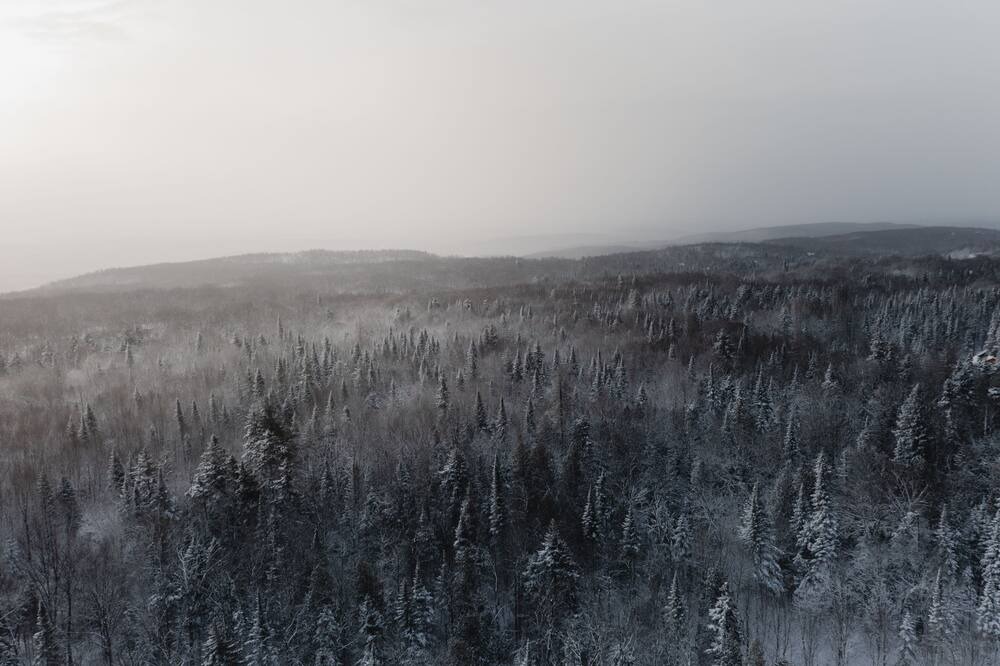 Photo of Others in Morin Heights