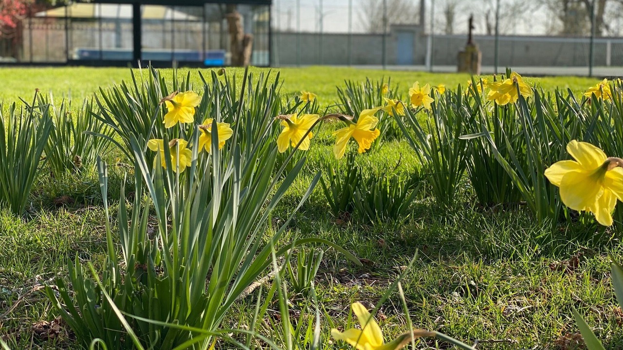Photo of Outdoor in Marsais