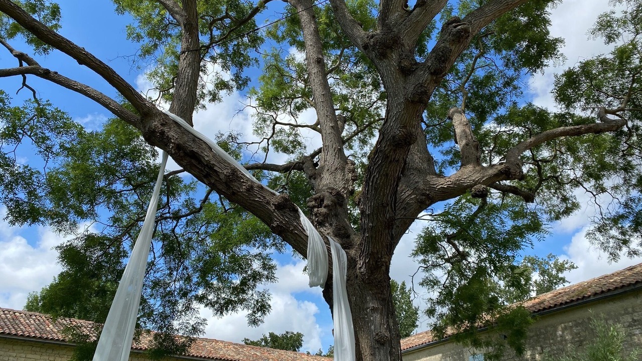 Photo of Outdoor in Marsais