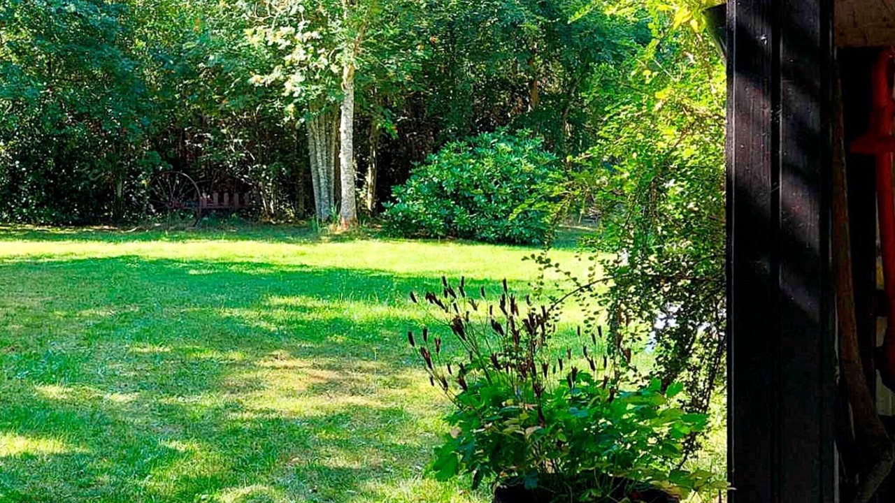 Photo of Outdoor in Lyngsa
