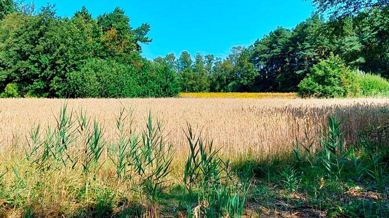 Photo of Outdoor in Lyngsa