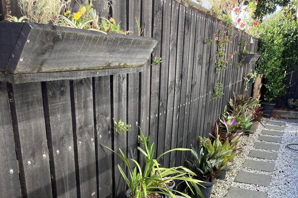 Photo of Outdoor in Otumoetai