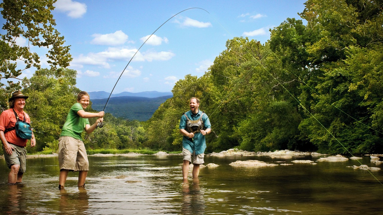 Photo of Others in Roanoke
