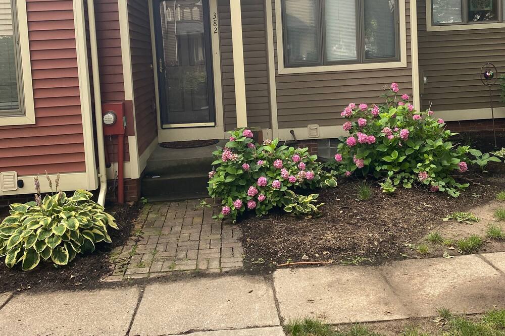 Photo of Outdoor in Corn Hill