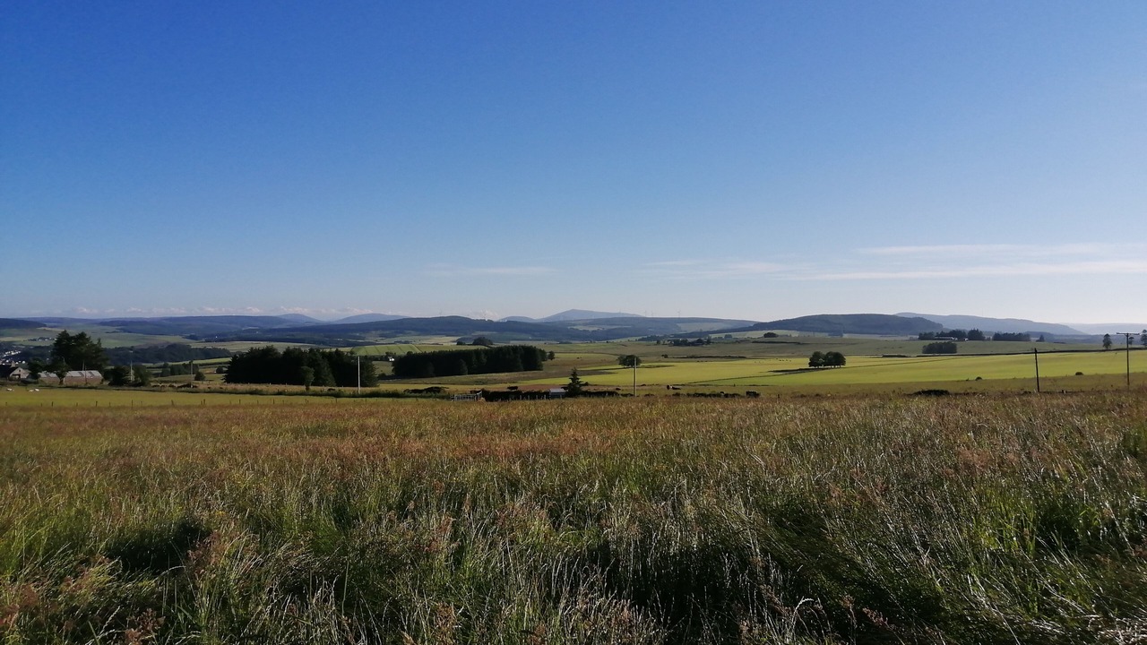 Photo of Others in Keith