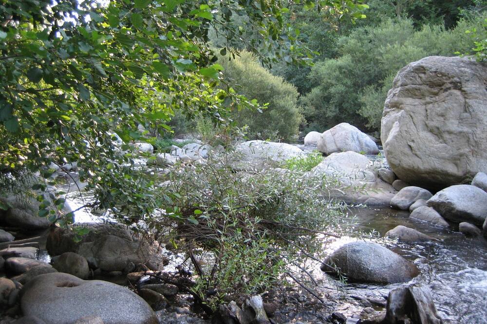 Photo of Outdoor in Arles-sur-Tech