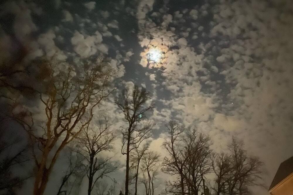 Photo of Others in Tyler
