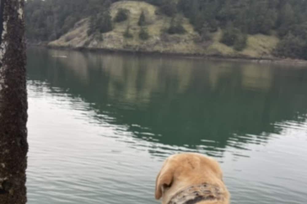 Photo of Others in Oak Harbor