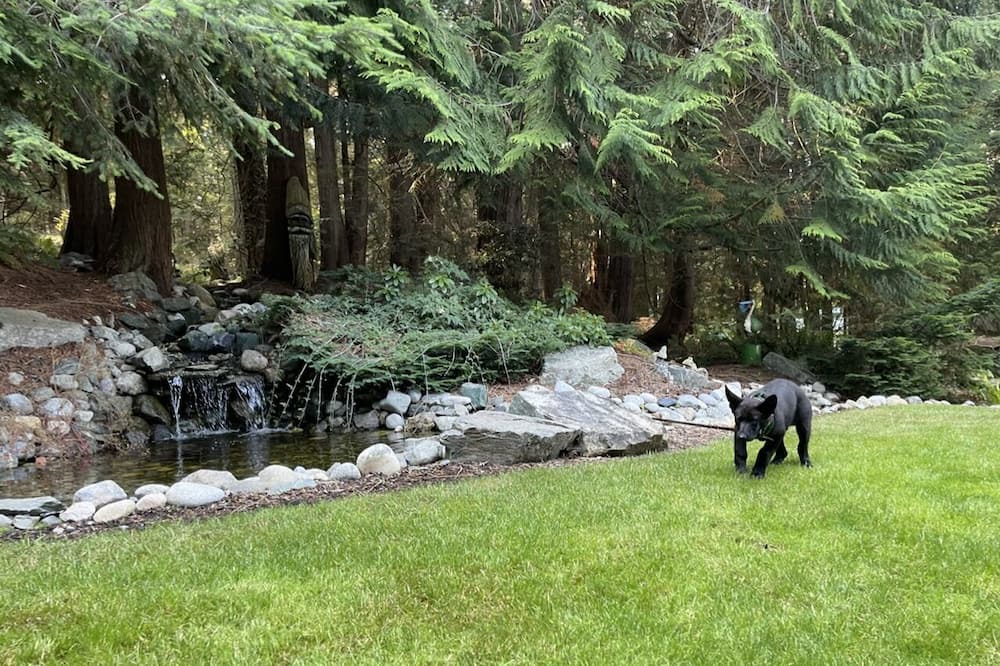 Photo of Outdoor in Oak Harbor