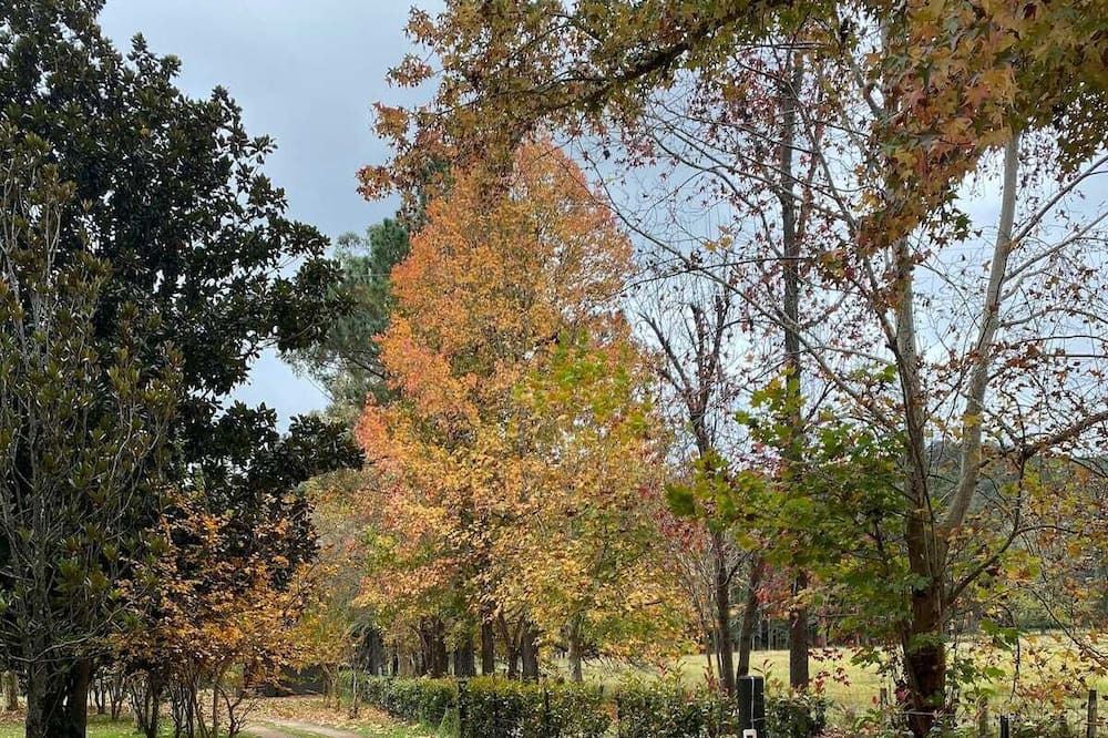 Photo of Outdoor in Cessnock City Council