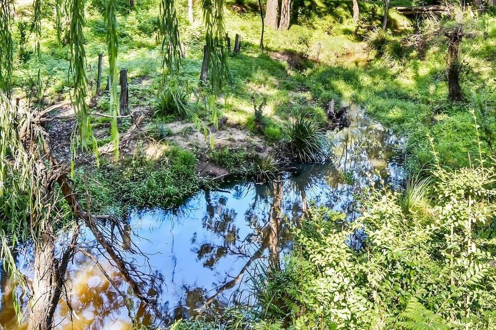 Photo of Outdoor in Cessnock City Council