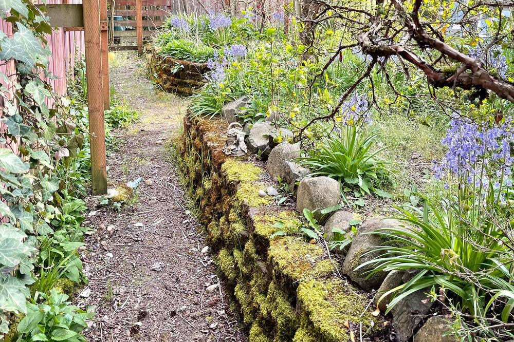 Photo of Outdoor in Haller Lake