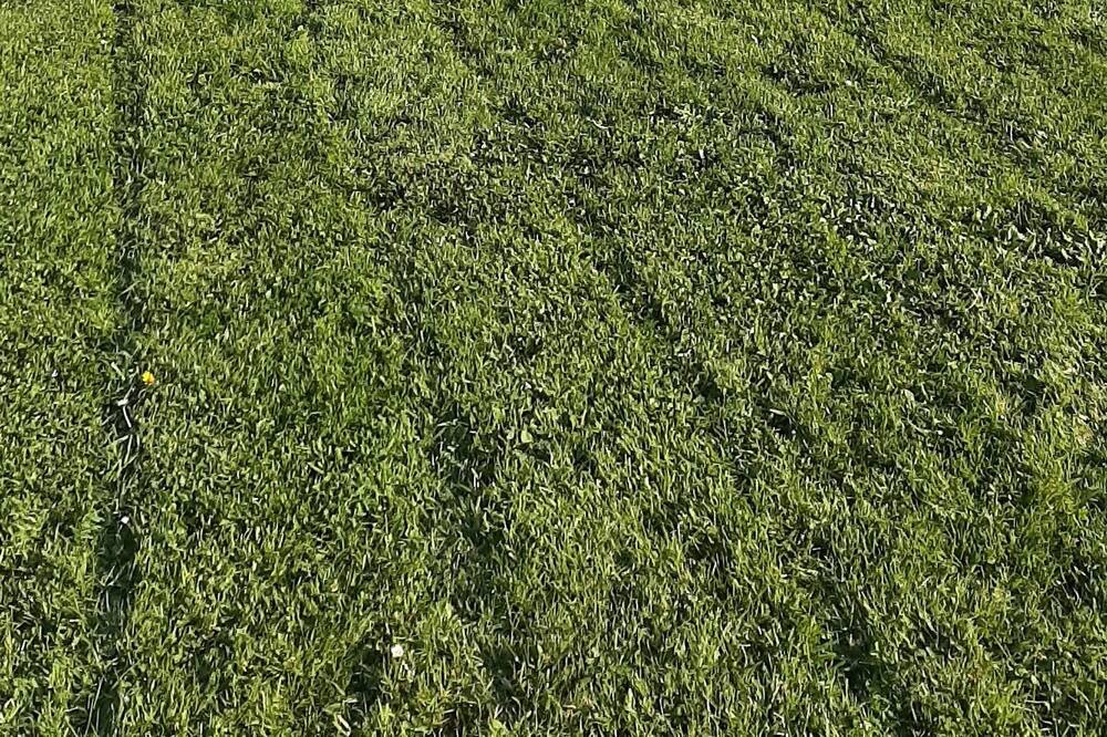 Photo of Others in Bonnebosq