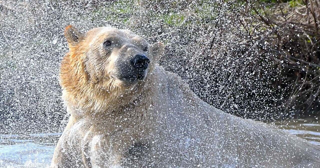 Photo of Others in Auckley