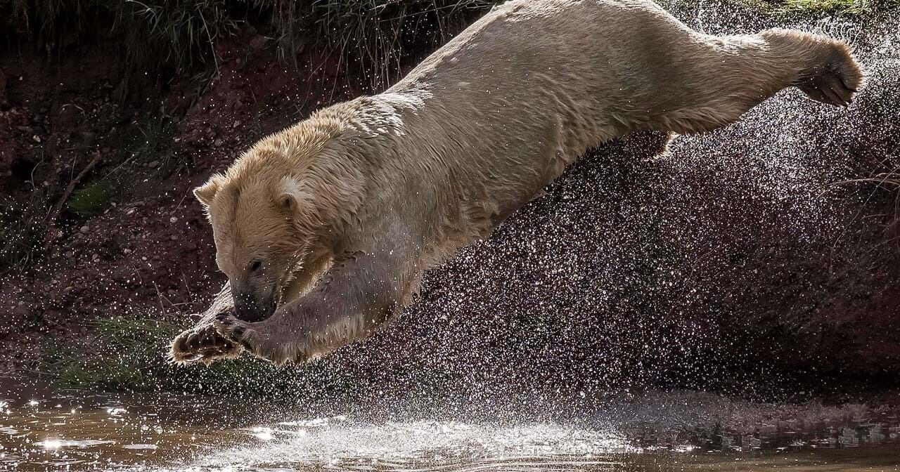 Photo of Outdoor in Auckley
