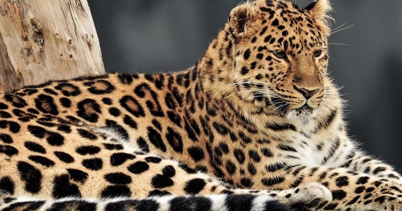 Photo of Outdoor in Auckley