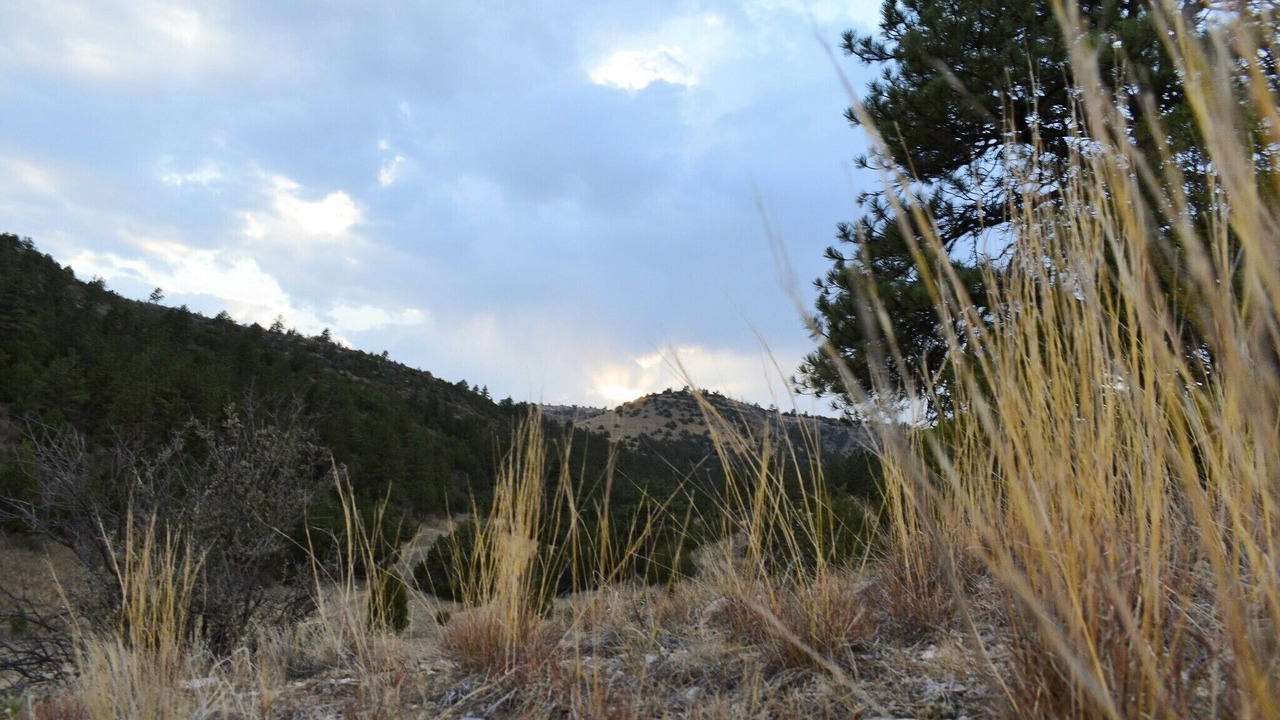 Photo of Outdoor in Platte County