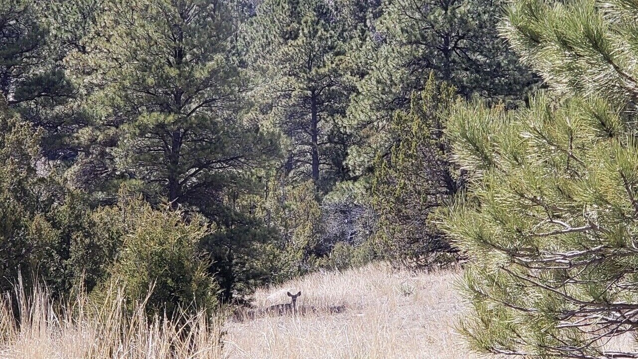 Photo of Outdoor in Platte County