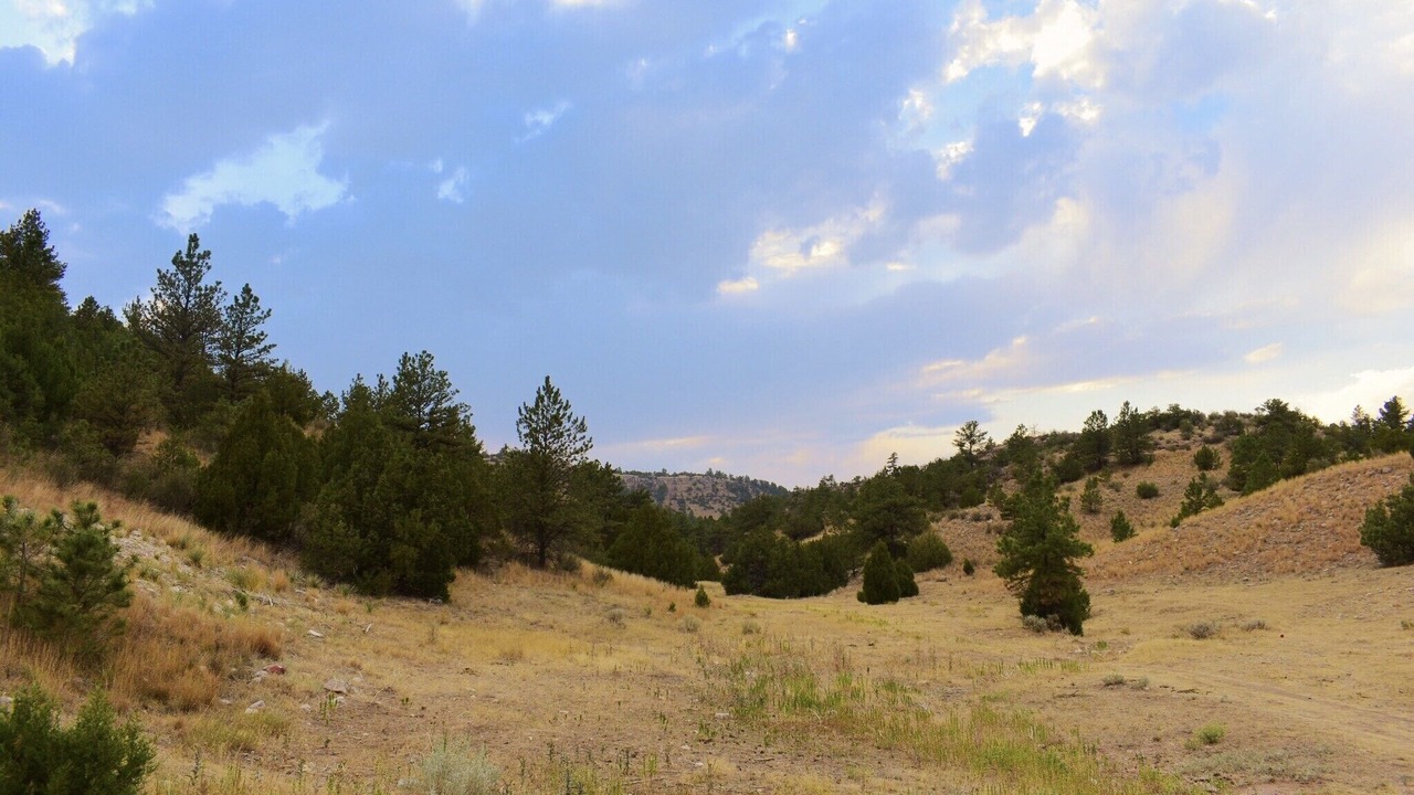 Photo of Outdoor in Platte County